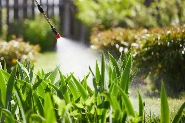 24/7 Emergency Wasp Removal experts in Pine Bluff, AR