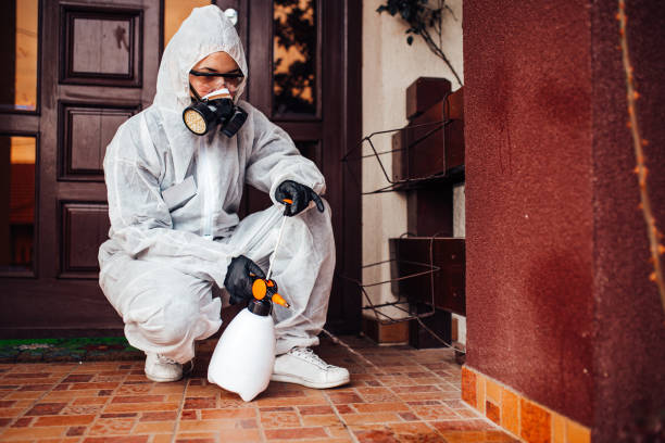 Reliable Wasp Removal contractor in Pine Bluff, AR by Show Me Pest Control